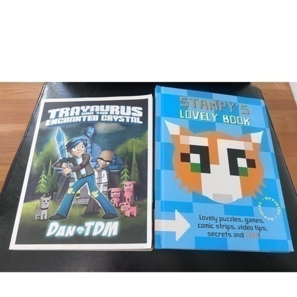 Dan TDM  YouTuber & Stampy’s Minecraft Gamer YouTuber Books Gift Great Condition